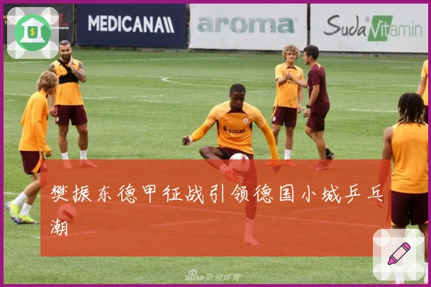 樊振东德甲征战引领德国小城乒乓潮