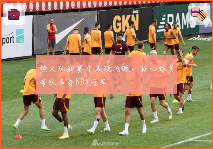 热火队新赛季表现抢眼,核心球员带队争夺NBA冠军